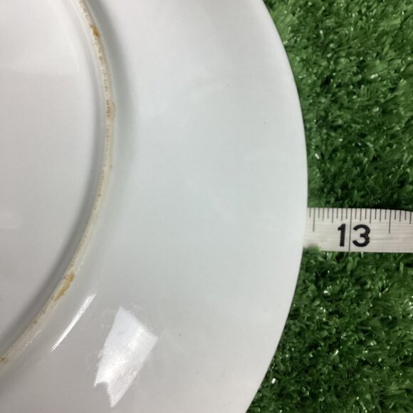 Royal Duchess Fine China Bavaria Germany Mountain Bell Large Plate - Picture 7 of 7